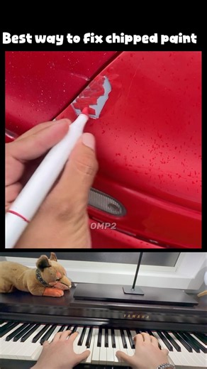 Best way to fix chipped paint