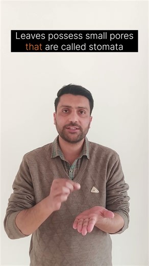 Difference between Transpiration and Guttation