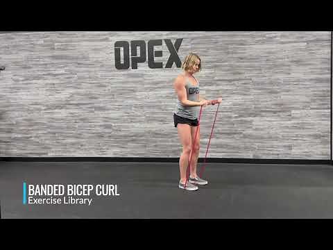 Banded Bicep Curl