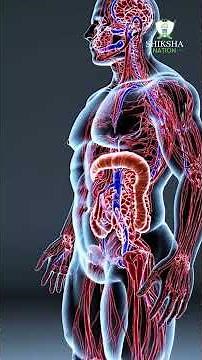 🧬 DNA vs RNA | Practical Difference Explained in Simple Way | NEET Students Must Watch