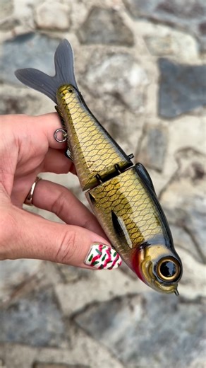 Little River Lure Lady on Instagram: "✨ Golden Shiner ✨ on @northshoreswimbaits for @pthookedup #bassfishing #bassfishingnation #glidebait"
