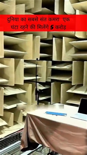 microsoft का सबसे स्लाइस रूम रहने के भी पैसे मिलेगे #ytshorts #facts #ytstudioes #microsoftkaizala