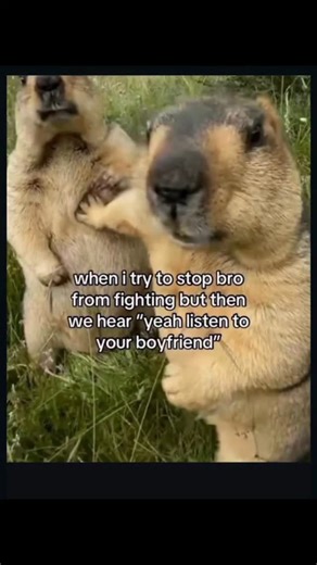 Kenny JVL 💫 on Instagram