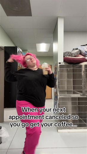 When Your Ice Melts: A Vet Tech's Coffee Break