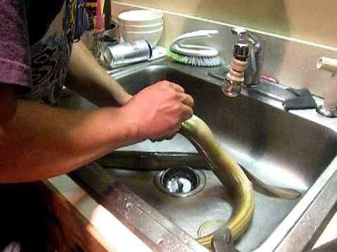 cleaning an eel