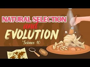 Term 1 Science 10 | Lesson 10: Natural Selection | MATATAG Curriculum