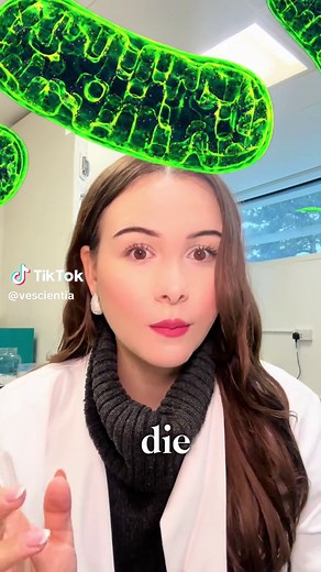 #stem #stemtok #mitochondria #biology #cell