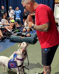 482K views · 13K reactions | Dogs are incredible   Cole the Deaf Dog- The Team Cole Project | UNILAD | Facebook