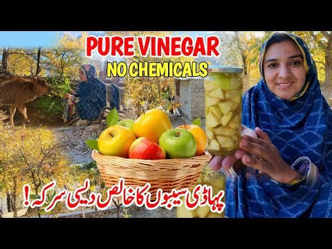 Making Homemade Apple Cider Vinegar from Mountain Apples 🍎 | Natural & Healthy! | Village Gilgit