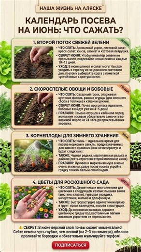 🌱КАЛЕНДАРЬ ПОСЕВА НА ИЮНЬ: Что Сеять и Сажать в Июне для Богатого Урожая и Роскошного Сада🌱