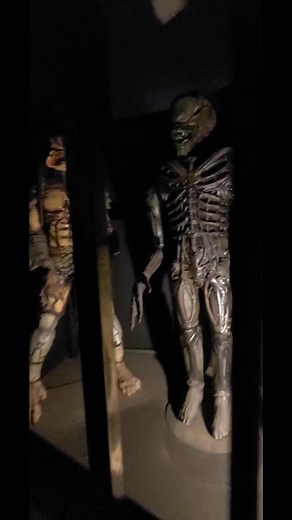 3.9K views · 72 reactions | The Chamber of Horrors at Laclede's Wax Museum in St. Louis, MO. #waxmuseum #alien #scary #hauntedhouse #haunt #haunted #scared #spooky #creepy | The Scare Factor | Facebook