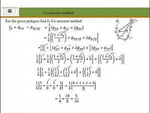 Inbreeding coefficient by co ancestor method Lecture 10 Part 2