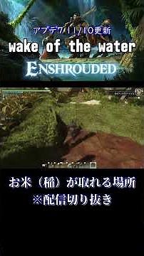 お米（稲）の取れる場所 #Enshrouded #霧の王国 #エンシュラウデッド #米 #稲 #shrots