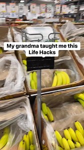 The best thing ay to get rid of flies and mosquitoes 🪰🦟 #flies #mosquito #mosquitorepellent #lifehacks #hack #kitchenhacks #momlife #tips #grandma #diy #homemade | Teo-Fatherhood