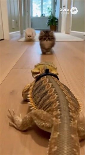 Tiny Lizard vs Two Kittens—An Unexpected Friendship Starts 🦎💛🐱