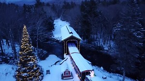 47K views · 2K reactions | Merry Christmas from everyone and everybear at Clark’s Bears! | Clarks Trading Post | Facebook