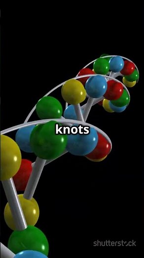 Unlocking DNA Secrets G quadruplexes #EukaryoticCells #CellBiology #MolecularBiology