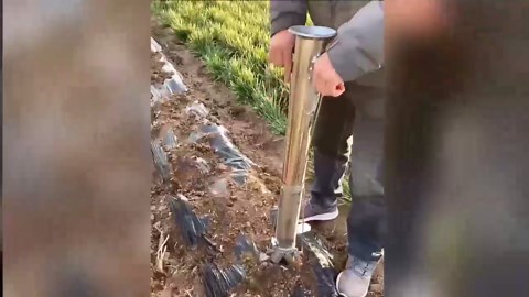 Seedling Transplanter, Bulb Planter, Planting Garden Tools, Vegetable Young Plant Manual Plant Transplanter, Flower Planting Soil Sampler, for Plant Bulb Seeds (A)