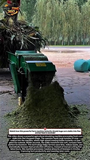 INSANE Machine Turns Giant Corn Stalks Into Perfect Animal Feed Seconds! #farming #machines #shorts