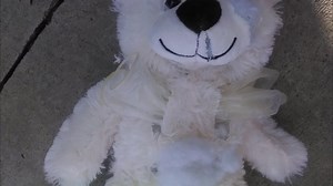 Man Accused Of Using Teddy Bear To Stalk Woman