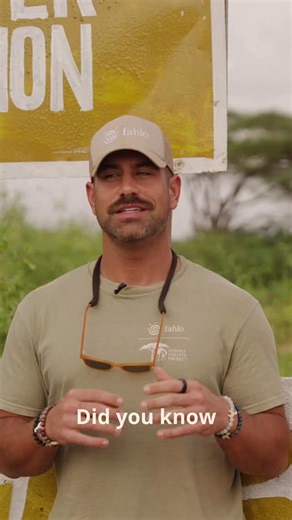 There are FOUR main types of giraffes, so why do we focus on reticulated giraffes, and how can we tell them apart from the rest of this gorgeous, vertically gifted species? 💛🦒 @BlakeMoynes is here to break it down! 🎥: @somali_giraffe_project #giraffe #giraffes #giraffesofinstagram | Fahlo