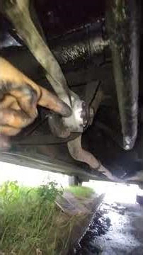 Engine center mount replacement. Renault Clio/Kangoo/Logan