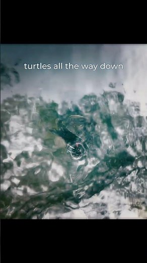 Turtle Swims At A Glacial Pace | Turtles All The Way Down