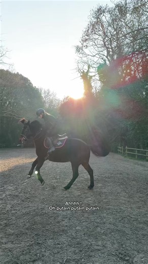 Événements étranges à l'écurie