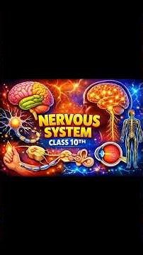 Nervous System By AYS Classes #viral