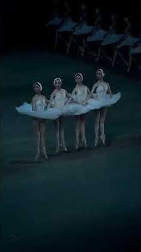 Dance of the little swans at Mariinsky theatre #swanlake #ballet #swanlake