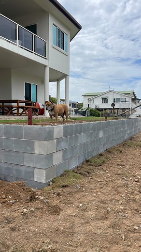 Transform your outdoor space with a stylish and durable block retaining wall! Whether you need to level up your yard, add structure to your garden, or create the perfect entertaining area, our expertly built walls combine function and aesthetics. Get in touch today to elevate your landscape! . . . . #RetainingWall #OutdoorLiving #Landscaping #besserblock #yeppoon #rockhampton | Hickson Earth & Block