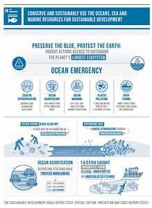 Here’s what you need to know about the third UN Ocean Conference