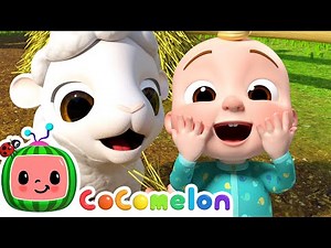 Old MacDonald - Baby Animal Version | CoComelon Animal Time | Animals for Kids