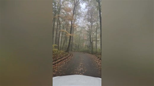 More of the Roaring Fork Motor Nature Trail outside Gatlinburg. Cades Cove is great for fall mountain views, the Roaring Fork is great for being right in the colors and is my favorite fall spot if I have to leave the porch. #LifeOnCrossCowboyRidge #roaringforkmotornaturetrail #GreatSmokyMountainsNationalPark #SmokyMountains #Smokies #Fall #fallvibes #Autumn | Scott Hilgendorff