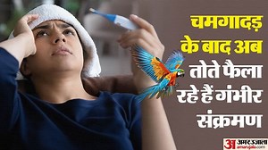 Psittacosis: कोरोना के बाद अब यूरोपीय देशों में 'पैरट फीवर' को लेकर अलर्ट, कितना गंभीर है ये संक्रामक रोग?