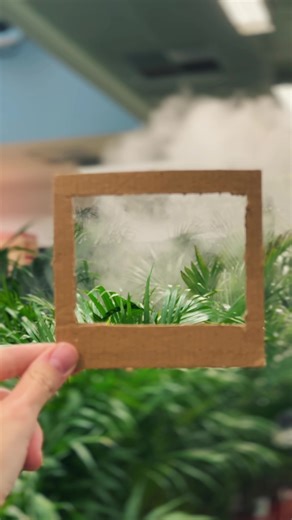 Один день из жизни PROFLOWERS🧡 #офисныебудни #office #атмосфера