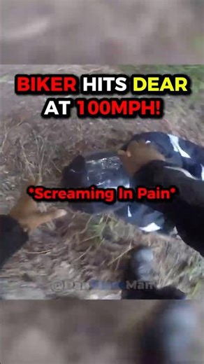 Biker Hits Dear At 100MPH!