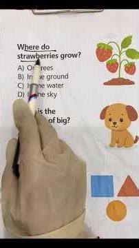 🤔 Easy Knowledge Test – Let’s See Your Score!