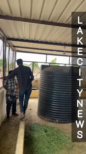 7.4K views · 27 reactions | Udaipur @Leopard @Rescue @Vallabhnagar | Lake city News | Facebook