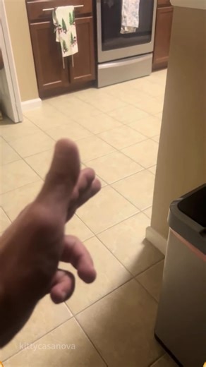 Smart cats enjoy cooperating with naive owners.🐱😂😾 #cat #catsoftiktok #catlover #funny #funnyvideos #foryou #fypage #fypツ #funnycat #funnytiktok #cats