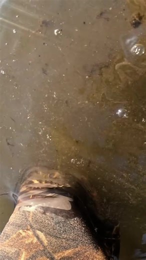 Mystery Object Unearthed: What Is This Heavy Find?