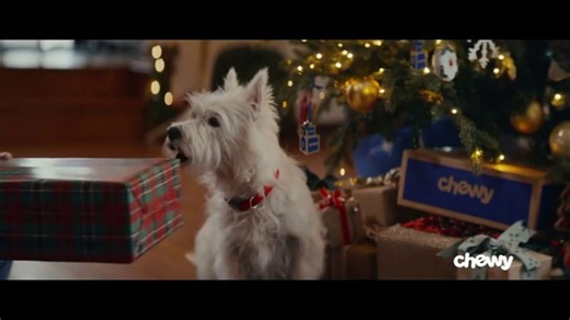 Chewy TV Spot, 'Holidays: Dog Offer: 40% Off'