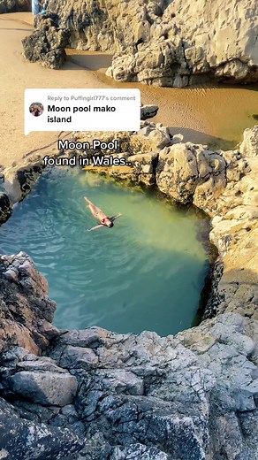 Exploring the Mysteries of Moon Pools: Mako Island Revealed