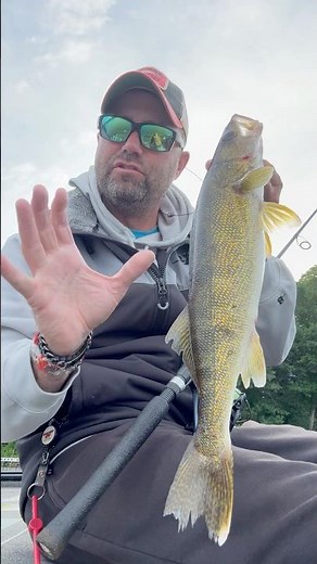 Ned Rig Walleyes | Summer Fishing Patterns — Walleyes in the Weeds!!