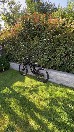 Canyon Torque CF 8 Mullet: Ride in Style