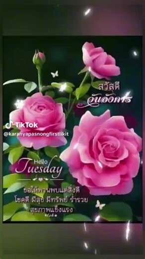 David Lai (@david.lai3)’s videos with 原声 - Sam Lai930