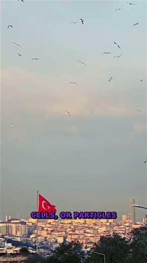 The Secret Life Of Natural Textures | Science Revealed