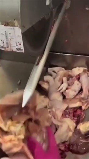 Chicken Cutting Machine #viralvideo #viral #shorts