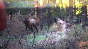 63K views · 478 reactions | Are you tired of getting busted before...