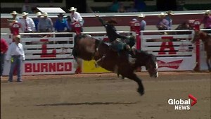 Father-to-be Zeke Thurston looks to make history at Calgary Stampede rodeo